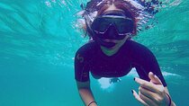 Full Day Pinzon Island, Finishing in la Fe with Snorkeling and Lunch included