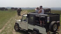 Kaudulla National Park - Private Safari from Sigiriya