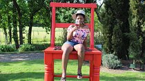 Private Visit to Wineries Stelenbosch from Cape Town Price/Group 