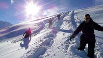 Scenic Snowshoe Adventure in South Lake Tahoe, CA