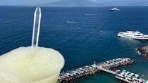 Exclusive tour in Sorrento and Pompeii with transport and tickets
