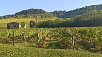 Transfer Siena-Florence with visit to Chianti and wine tasting