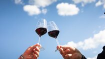 Tour Tasting & platter at an Organic Winery - Panzano in Chianti