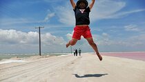 Tour Las Coloradas - Natural Pink Lake only from Playa del Carmen