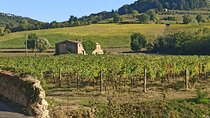 PRIVATE TOUR: Chianti Afternoon tour with visit to 2 wine farms