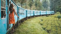 2 Day Tour of Udawalawe & Ella with Up Country Scenic Train Ride - All Inclusive