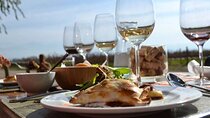 Luján Gourmet Wine Tour – Shared