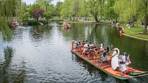 Visit Boston & Cambridge: Private Full-Day Driving Tour