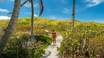 Gorgeous Contoy Adventure! Round Transportation from Cancun & Riviera Maya