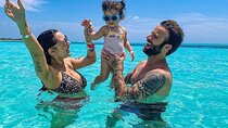 Cozumel Snorkel at El Cielo & 2 Reefs! Transportation from Tulum