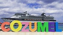 Cozumel Snorkel Experience! Round Transportation From Cancun & Riviera Maya 