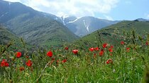 Nurata Mountain 3 Day Private Rural Tour from Samarkand or Bukhara