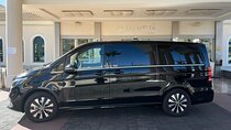 8-Hour Rental in a Luxury Car and Driver/Official Private Guide in Tenerife