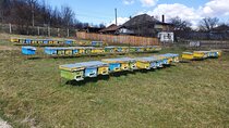 10 hours Private Apiary Tour in Romania - From Bucharest