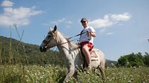 Horse Riding Tour in Bodrum with Hotel Pick Up