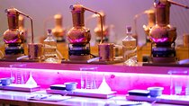 Gin Tasting Masterclass in Aberdeen 