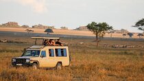  6-Day Unforgettable Tour in Tanzania