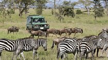 3-Day Ngorongoro Crater Manyara and Tarangire Safari from Arusha