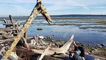 Mud Bay Park Bicycle Rental