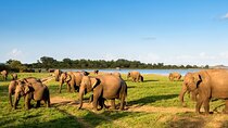 Private Multi-Day Outdoor Tour in Sri Lanka