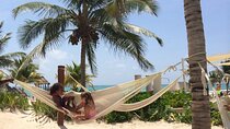 Beach Club tour with beautiful views of the Caribbean Sea. Transport included