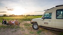 5-Day Private Northern Tanzania Safari from Arusha