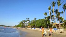 Transfer from Liberia airport to Flamingo, Westin Conchal, Planet Hollywood