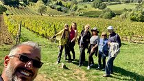 Montepulciano Pienza Montalcino Tour from Florence