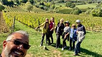 Tuscany Wine Tour from Livorno