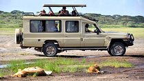 7 Days Private 4 star lodges Safari by LandCruiser from Nairobi