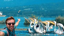 From Thessaloniki: Private Day Trip to Kerkini Lake
