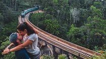 Private Ravana Falls and Nine Arches Bridge Ella Tour from Galle