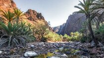 Private Safari Wadi Qunai and Three Pools Tour with Pickup