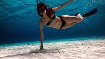 Snorkeling Experience in Cozumel with Transportation from Cancun