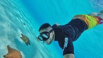 Cozumel Snorkeling Experience! El Cielo Reef from Cancun & Playa del Carmen