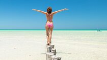 Best Experience in Holbox Island Punta Mosquito from Riviera Maya