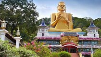 SriLanka Private 5Days Tour friendly Chauffeur & Vehicle with & without Hotel HB