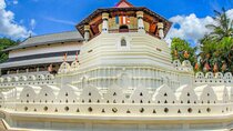 SriLanka Private 8Days Tour friendly Chauffeur+Vehicle with & without Hotel H/B 