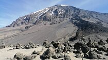 7-Days Lemosho Route Trekking in Mt. Kilimanjaro