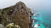 Full day Peninsula Tour 