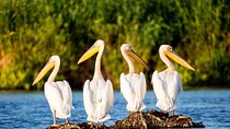 Danube Delta and Black See - 2 Days Private Tour from Bucharest
