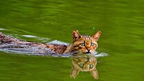 Explore Danube Delta and Black See in 2 Day Private Tour from Bucharest