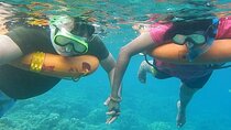 Key West Combo: Hop On Hop Off Afternoon Snorkeling