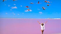 Tour Las Coloradas