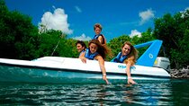 Adventure through Nichupte Lagoon & Mangroves Jungle - Individual 