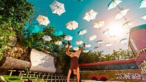 Xenses Tour with Transportation from Cancun & Playa del Carmen 