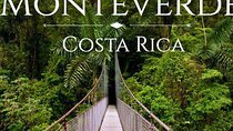 Shuttle From San Jose Airport To Monteverde