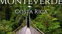 Shuttle Service From San Jose To Monteverde