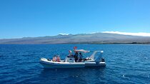 Private Big Island Snorkeling