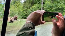 Full-Day Private Carpatian Garden with Dracula's Fortress - Wild Brown Bears